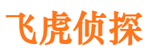 宣化市私家侦探